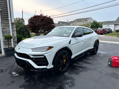White Lamborghini Urus freshly detailed in a residential driveway, showcasing a flawless gloss finish, black wheels, and striking yellow brake calipers.